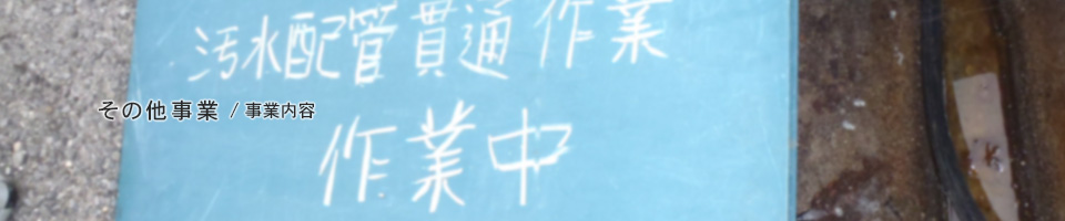 その他事業 / 事業内容